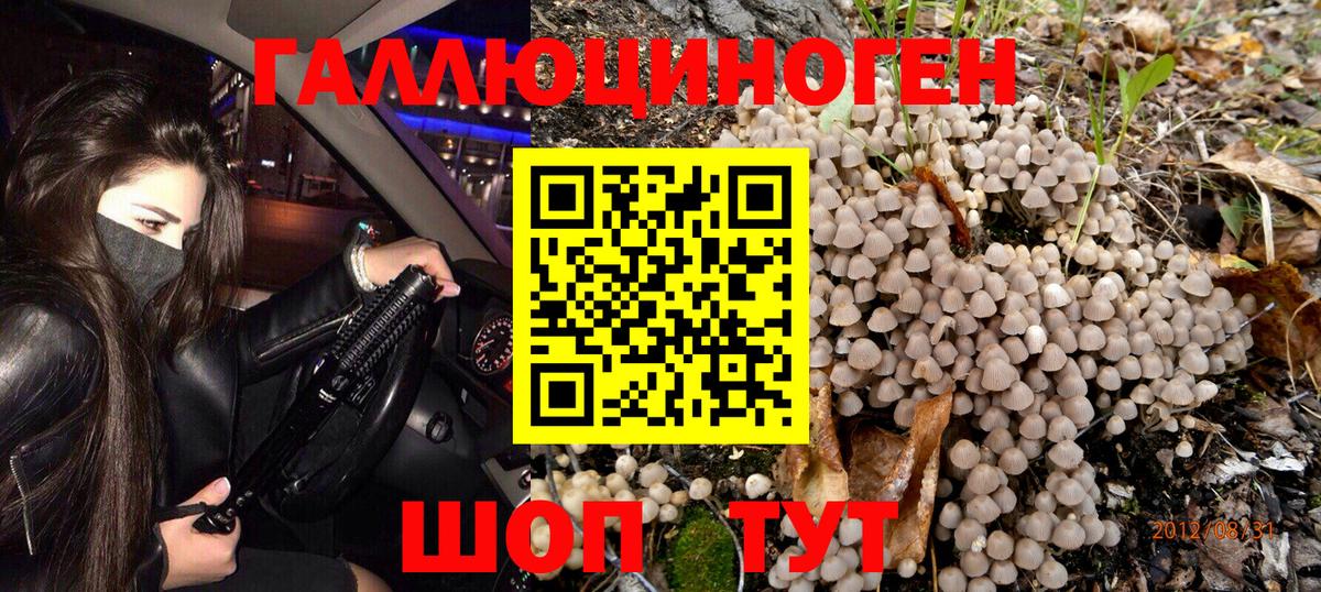 Псилоцибиновые грибы ЛСД Кувандык